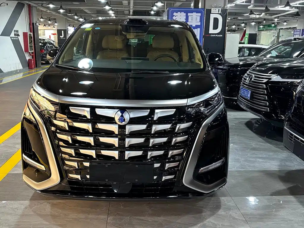 Denza Denza D9 — миниатюра 2