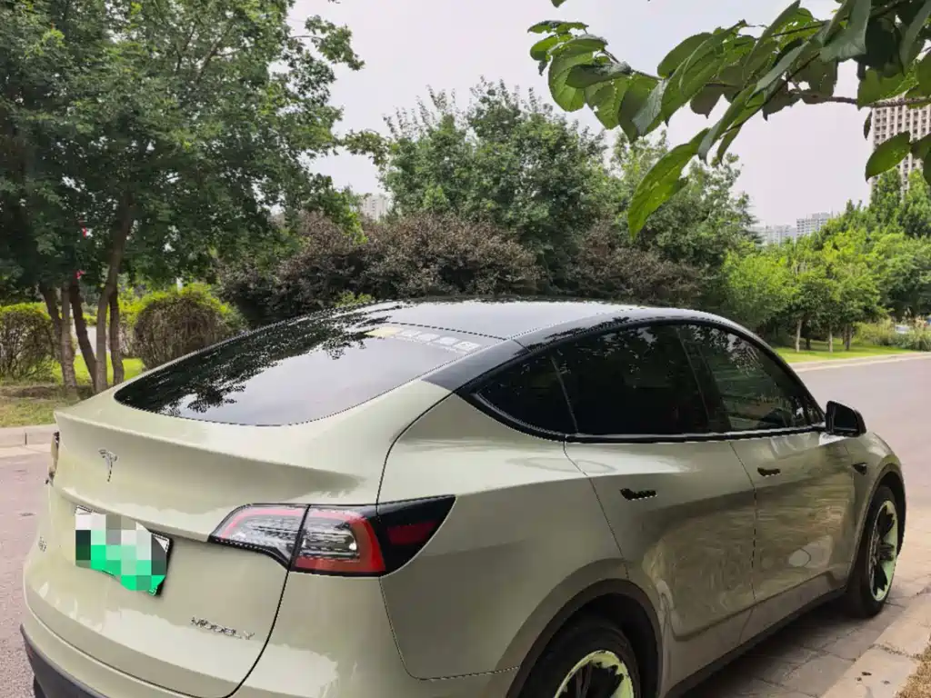 Tesla Model Y — миниатюра 6