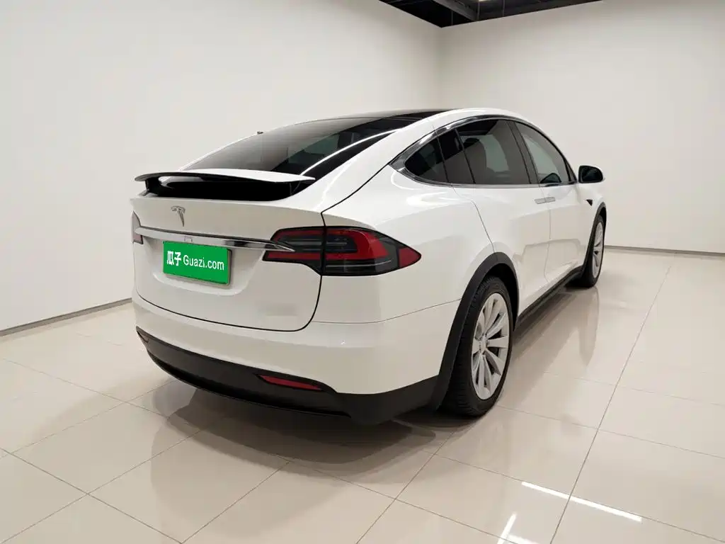 Tesla Model X — миниатюра 6