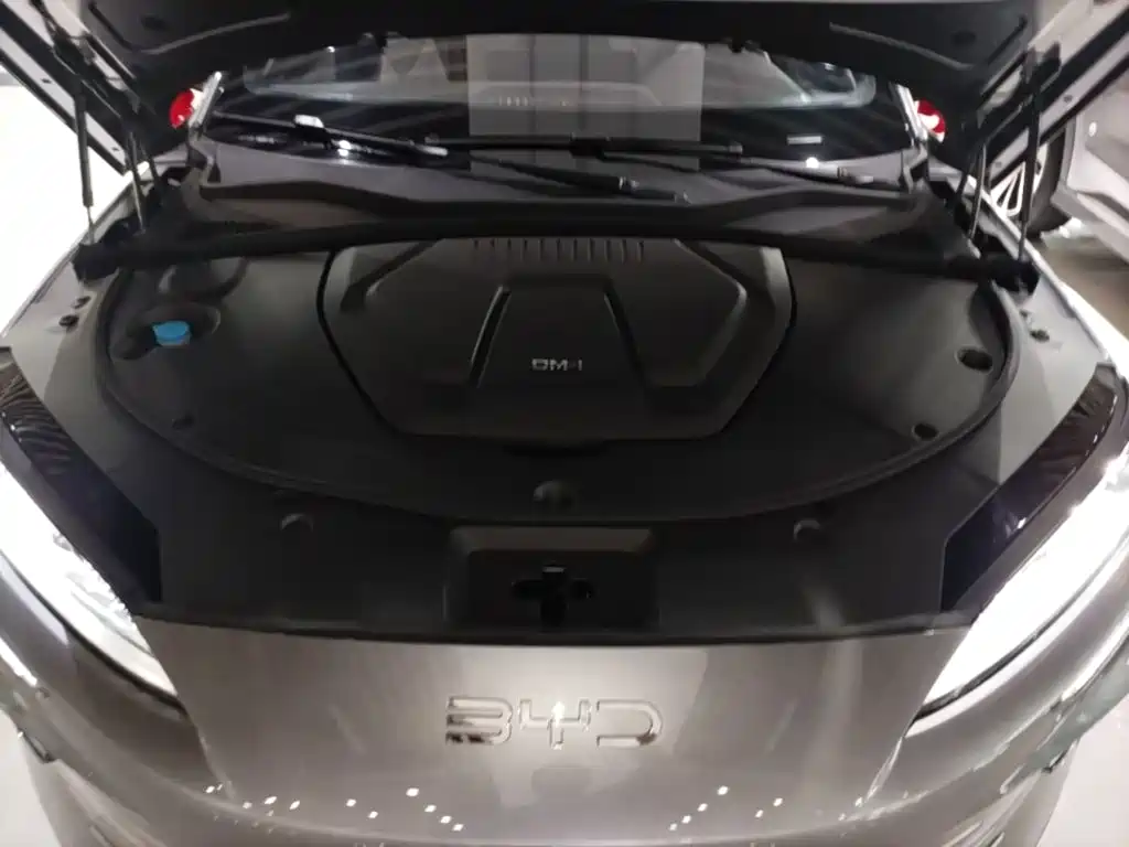BYD PLUS New Energy — миниатюра 20