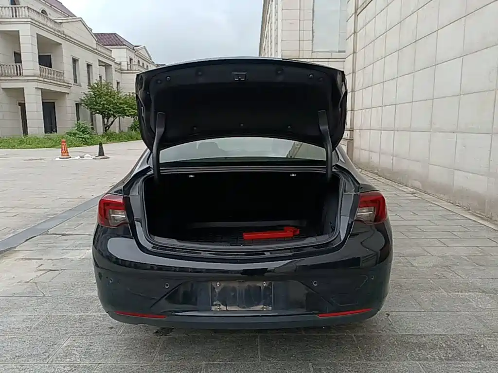 Buick Regal — миниатюра 19