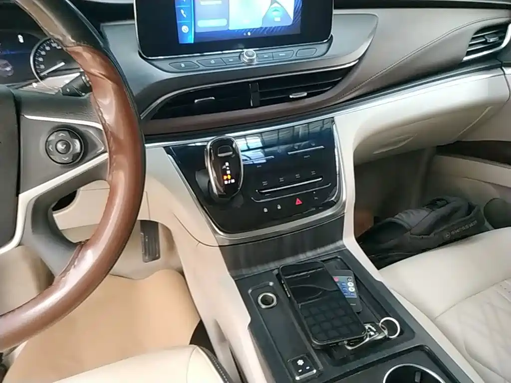 Buick GL8 — миниатюра 14