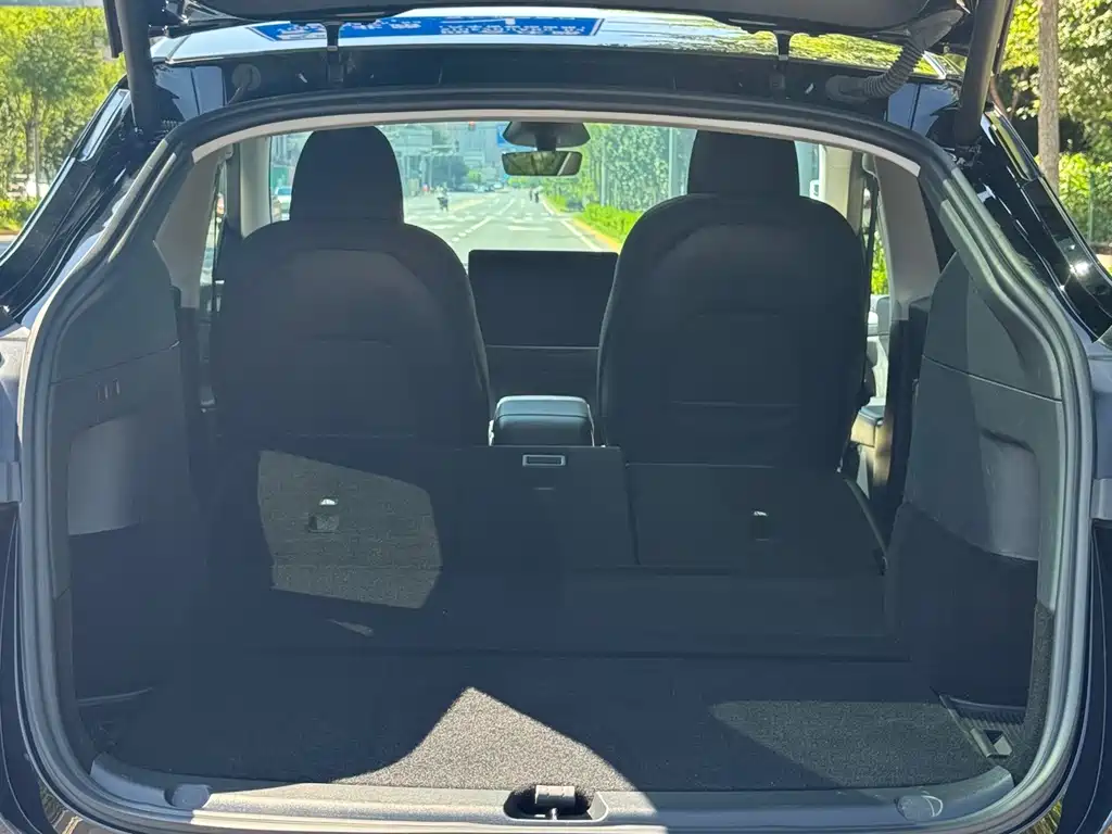 Tesla Model Y — миниатюра 9