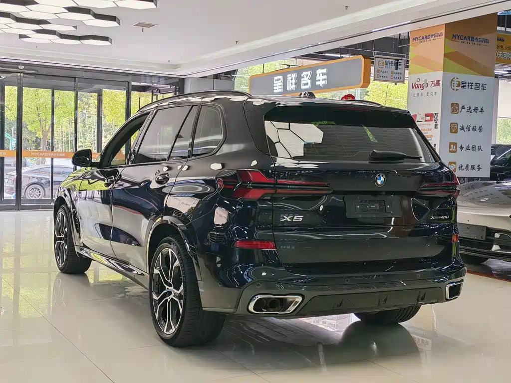 BMW X5 — миниатюра 9