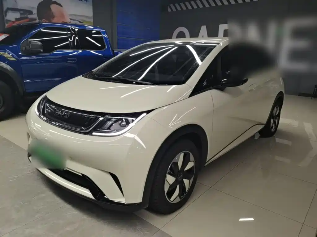 BYD Dolphin — миниатюра 2