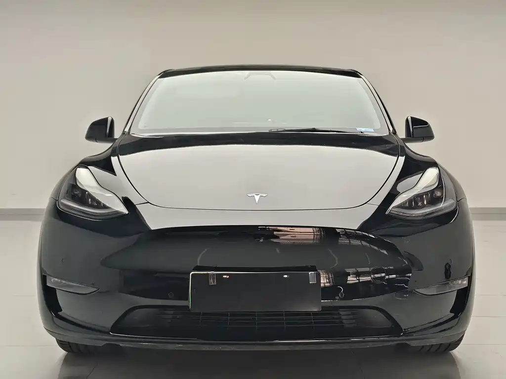 Tesla Model Y — миниатюра 2