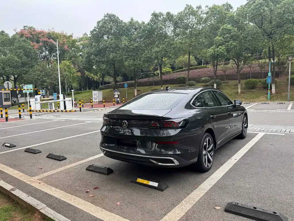 Volkswagen Lamando — миниатюра 9