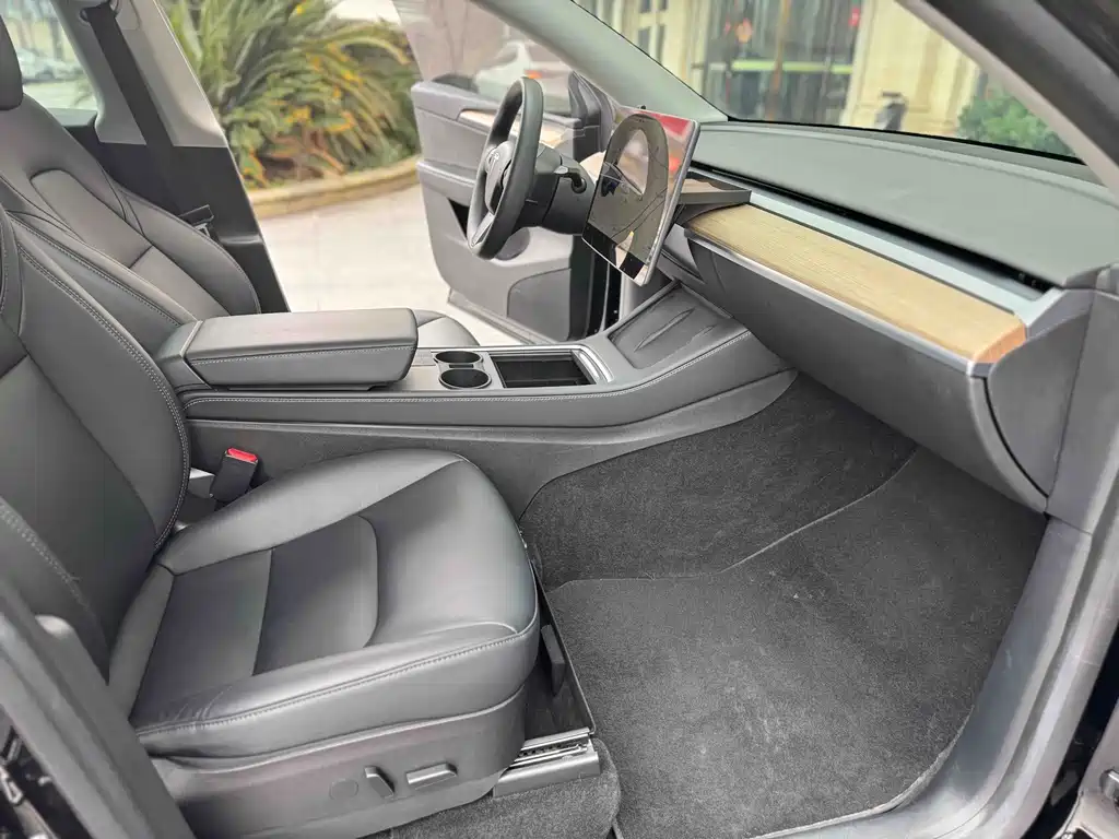 Tesla Model Y — миниатюра 4