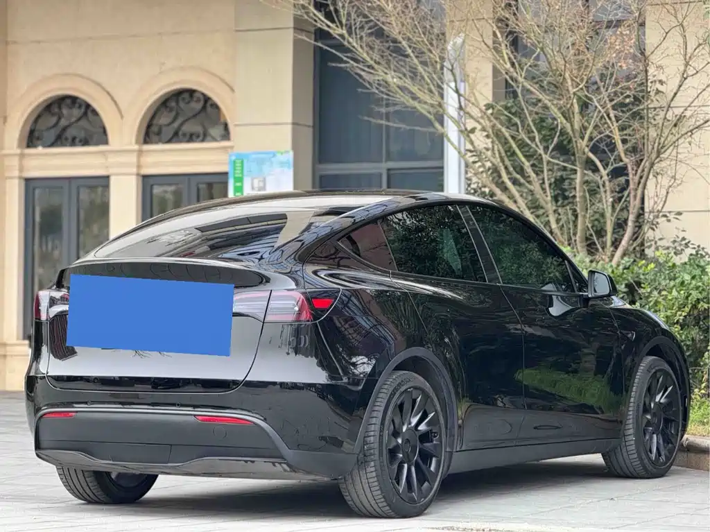 Tesla Model Y — миниатюра 7
