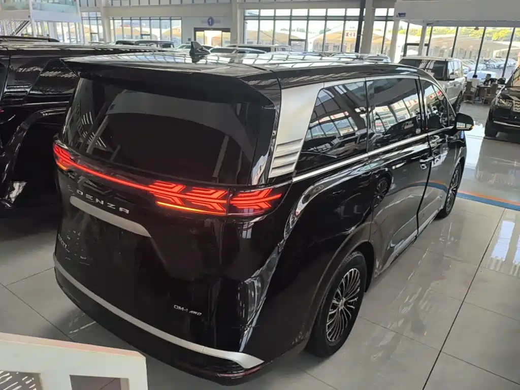 Denza Denza D9 — миниатюра 7