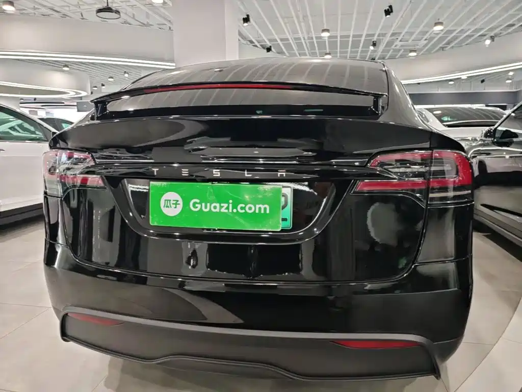 Tesla Model X — миниатюра 6