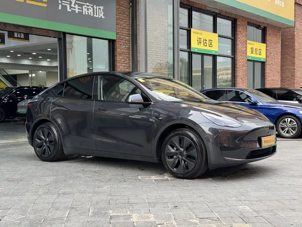 Tesla Model Y — миниатюра 3