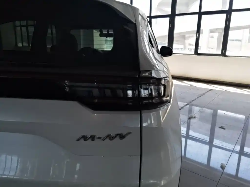 CIIMO M-NV — миниатюра 8