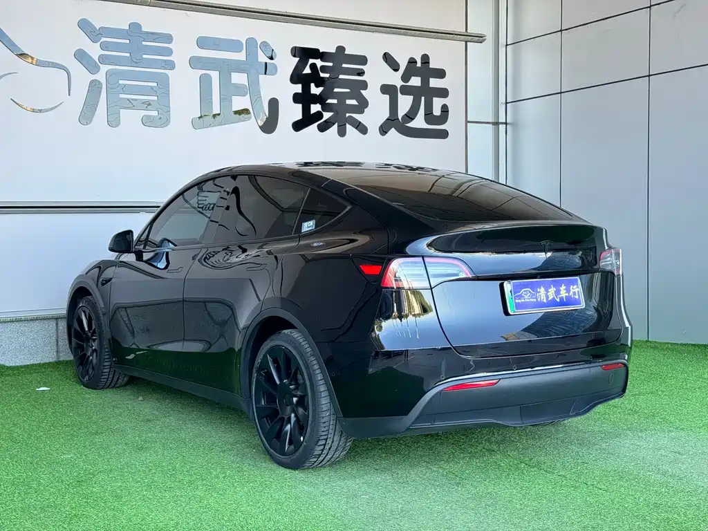 Tesla Model Y — миниатюра 14