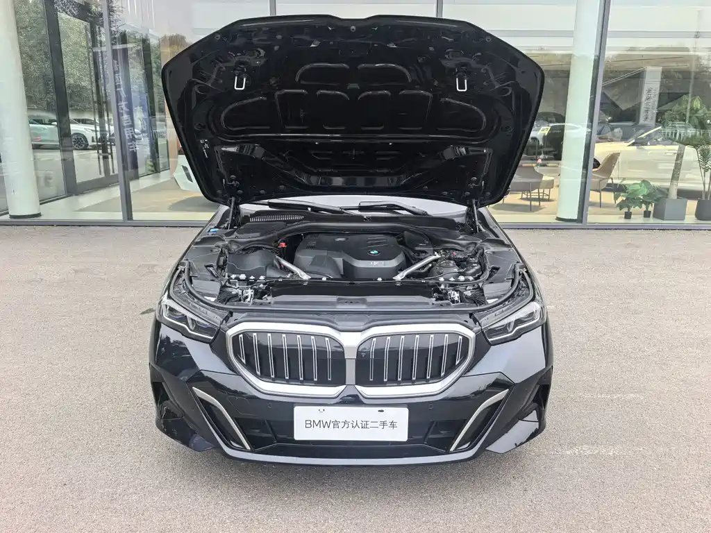 BMW 5 Series — миниатюра 22