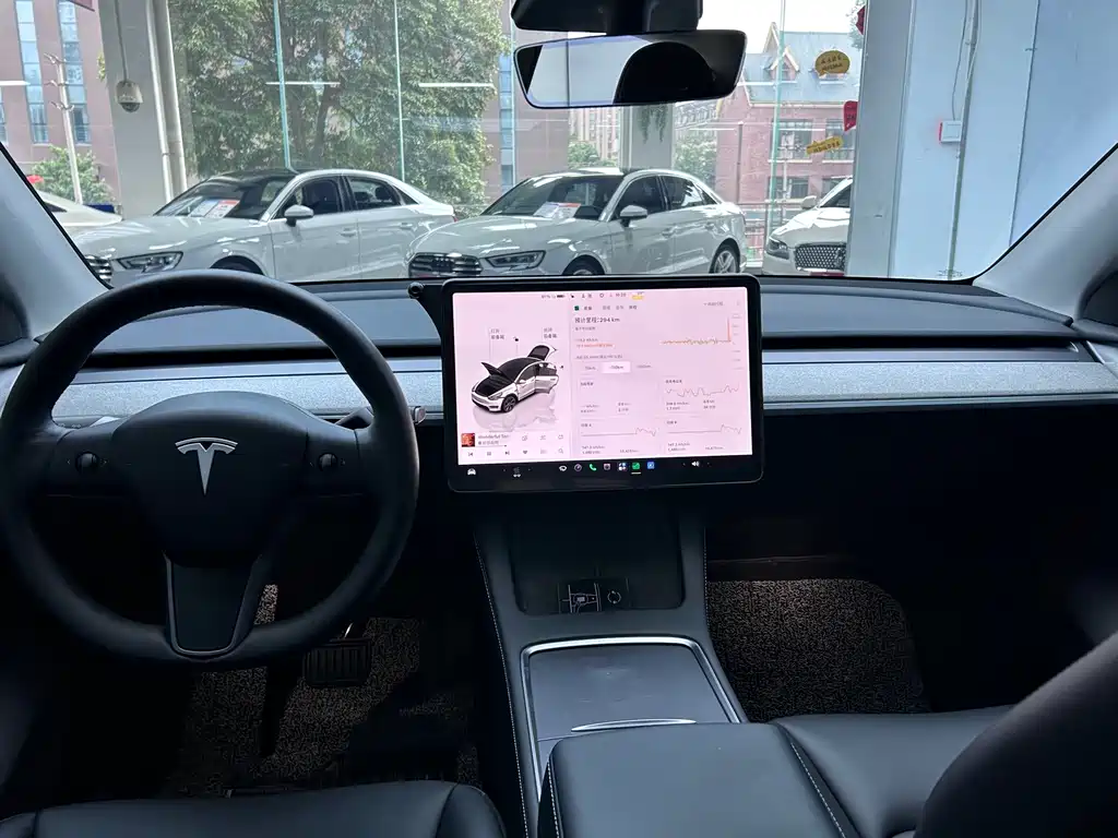 Tesla Model Y — миниатюра 20