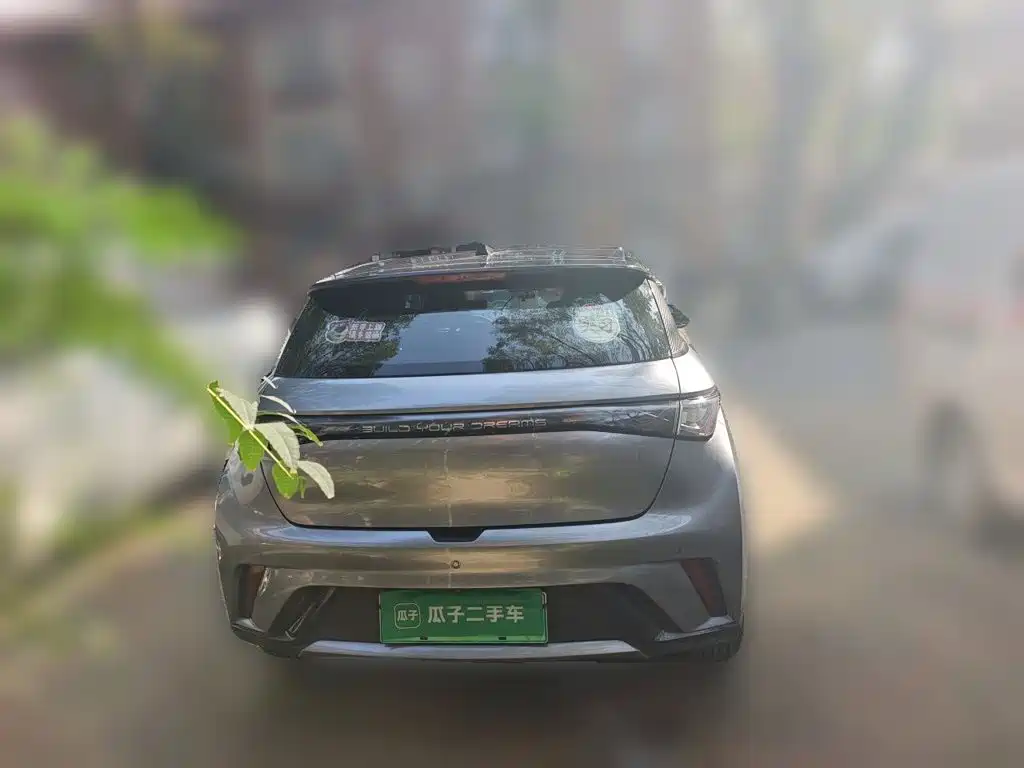 BYD Dolphin — миниатюра 5