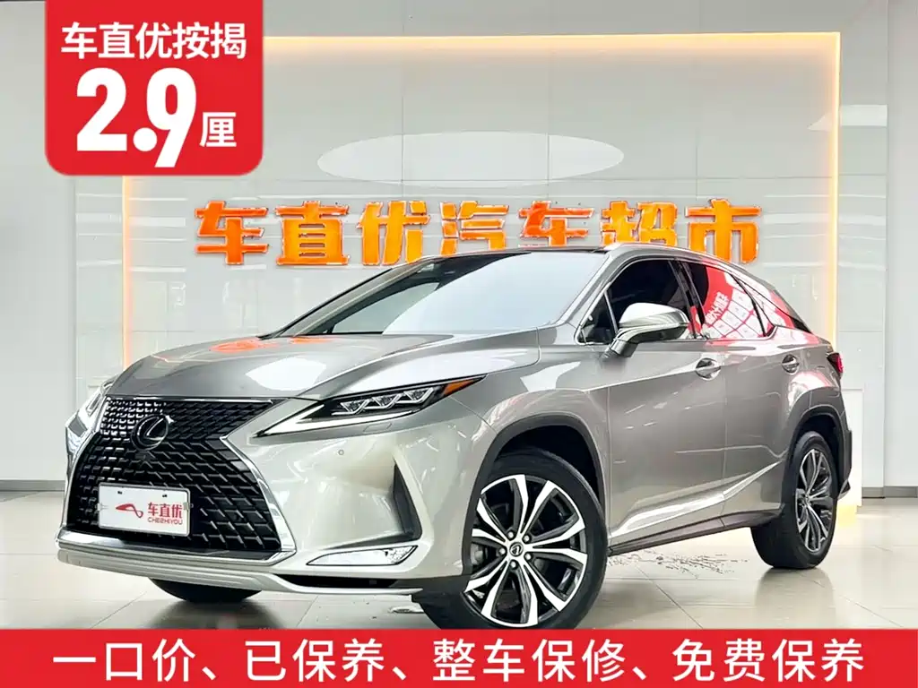 Lexus RX 2020 300 Elegant VI