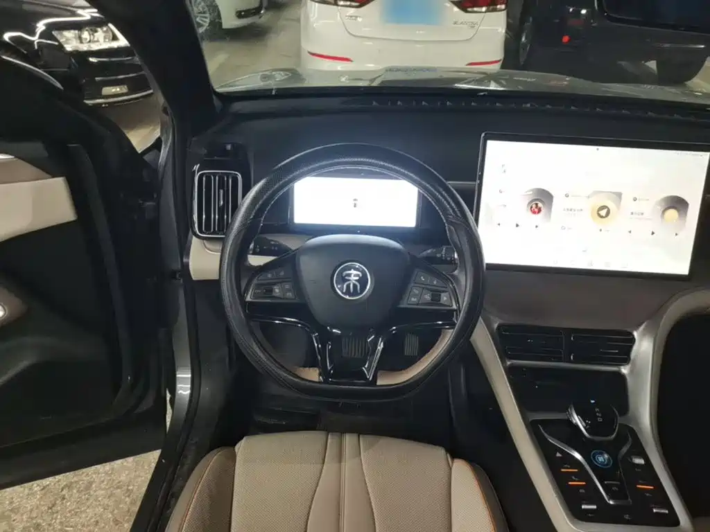 BYD Pro New Energy — миниатюра 11