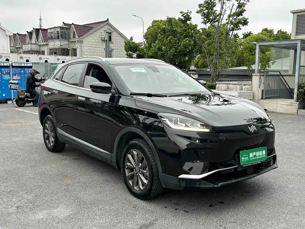 WM Motor EX5 2019