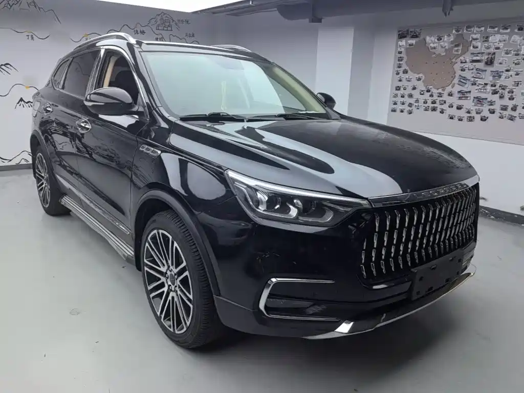 Leopaard Mattu — миниатюра 4