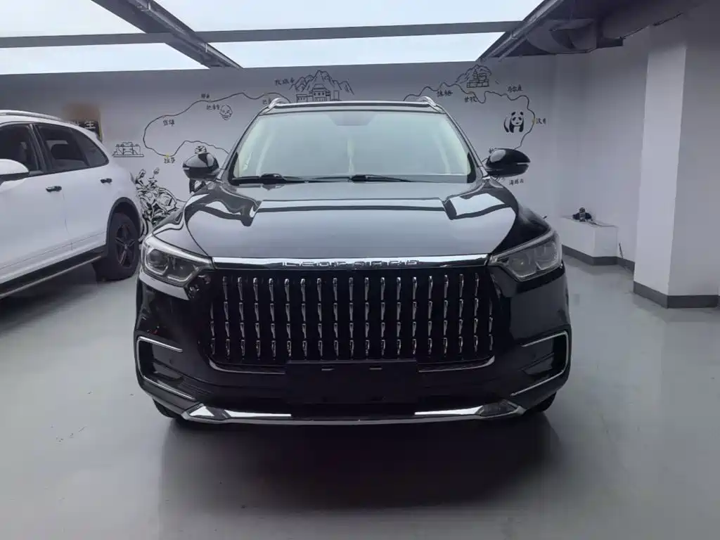 Leopaard Mattu — миниатюра 3