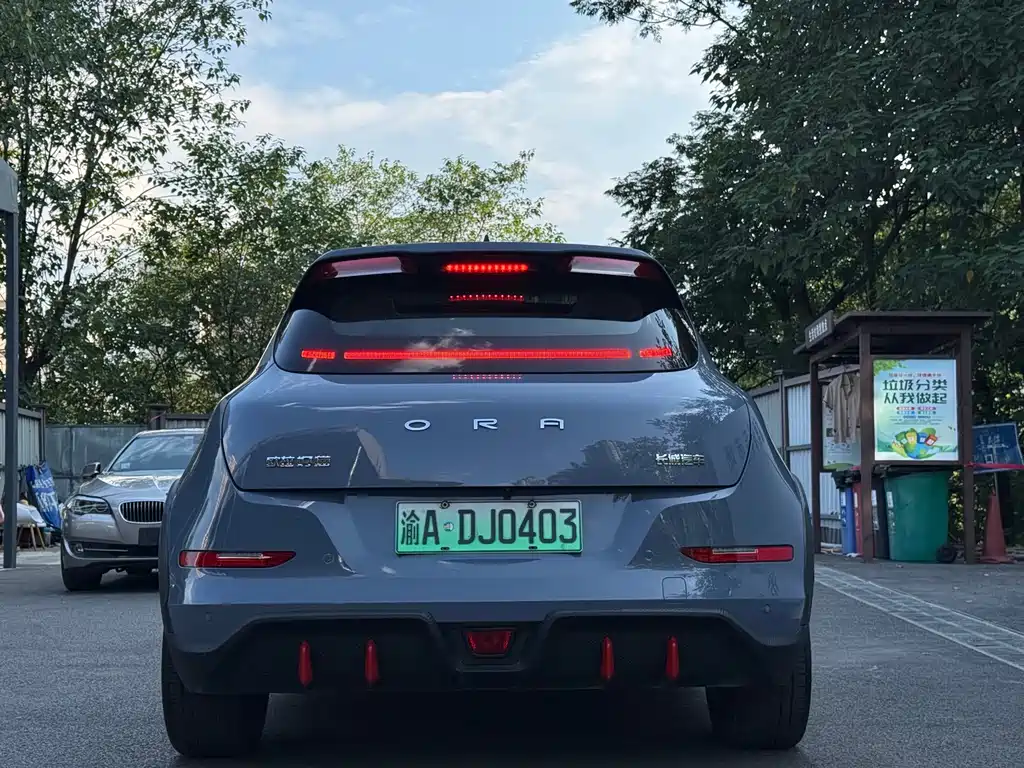 Ora Ora Good Cat GT — миниатюра 6