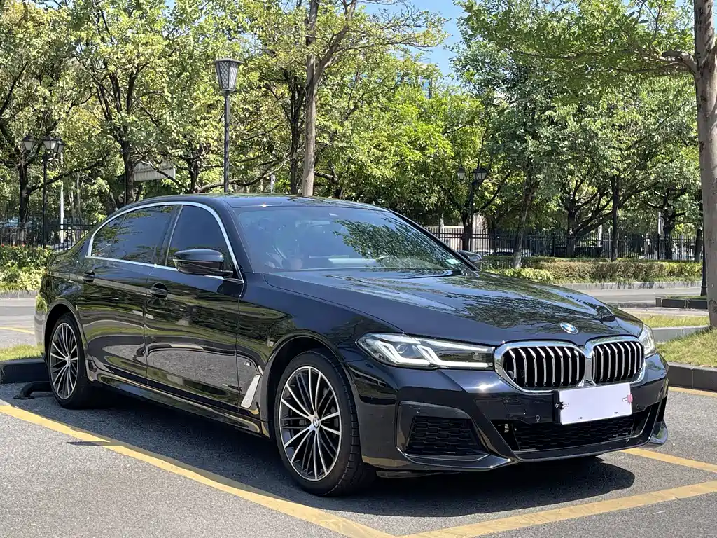 BMW 5 Series — миниатюра 3