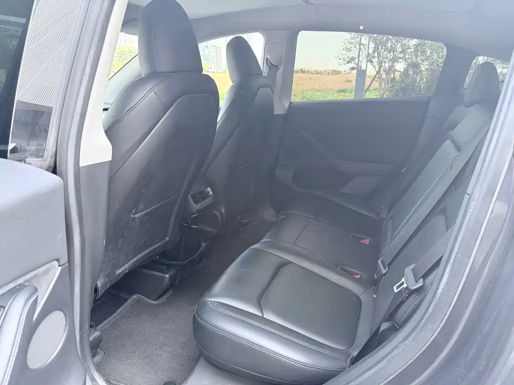 Tesla Model Y — миниатюра 8
