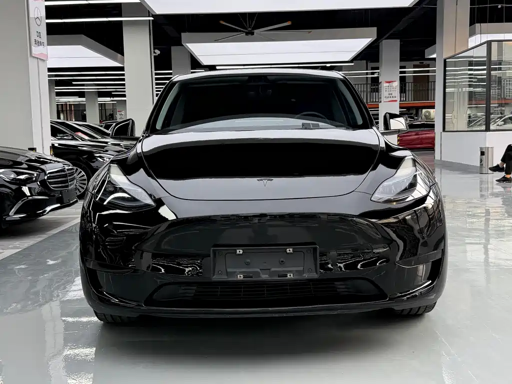 Tesla Model Y — миниатюра 2