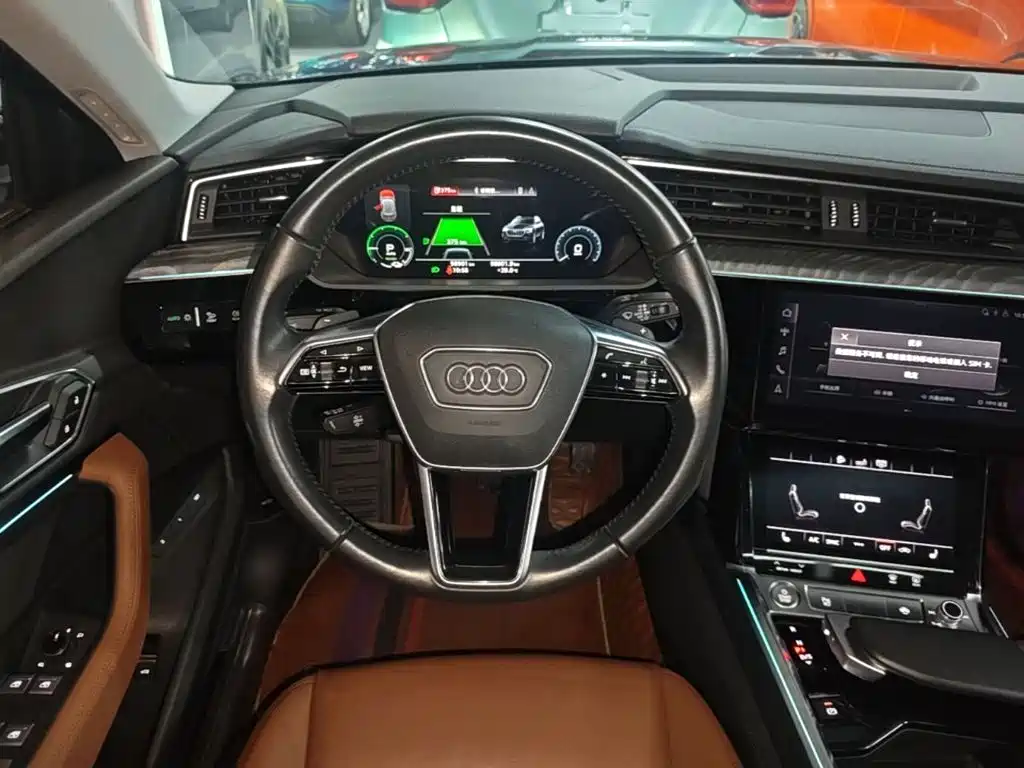 Audi e-tron (Import) — миниатюра 11