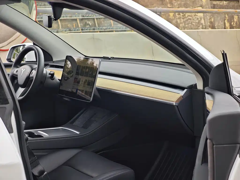Tesla Model Y — миниатюра 10