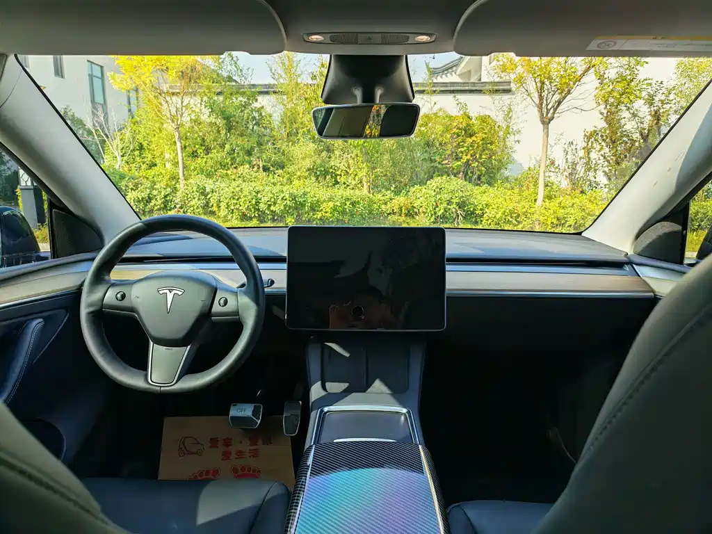 Tesla Model Y — миниатюра 8