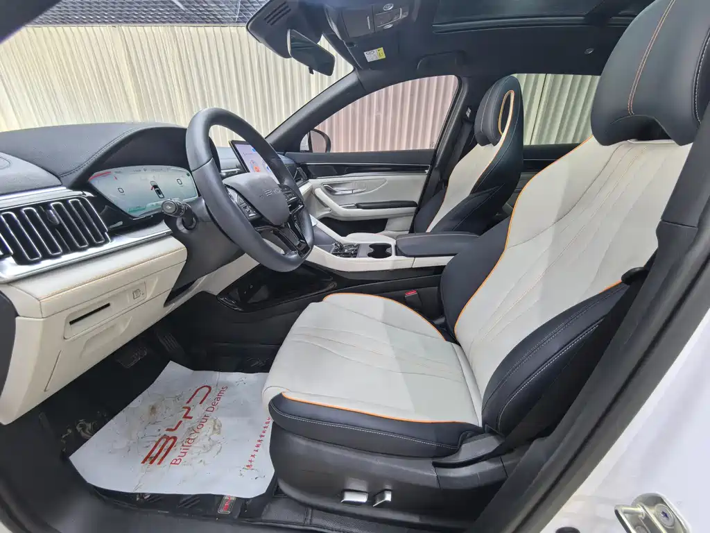 BYD PLUS New Energy — миниатюра 9