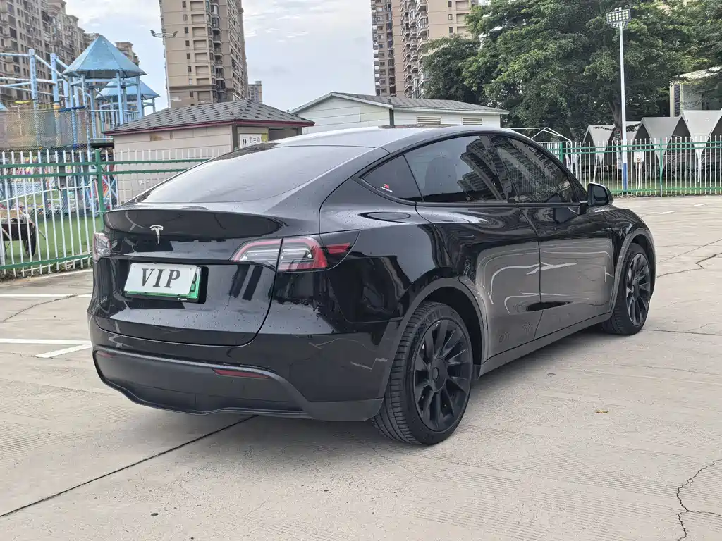 Tesla Model Y — миниатюра 7