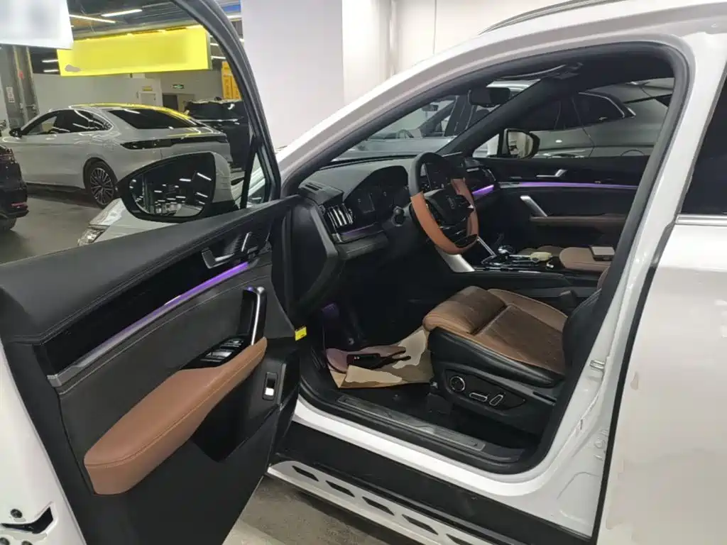 BYD Tang New Energy — миниатюра 16