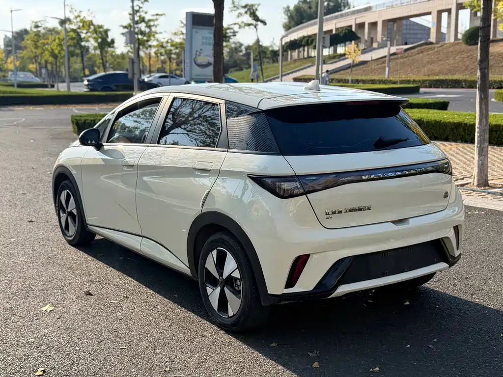 BYD Dolphin — миниатюра 5
