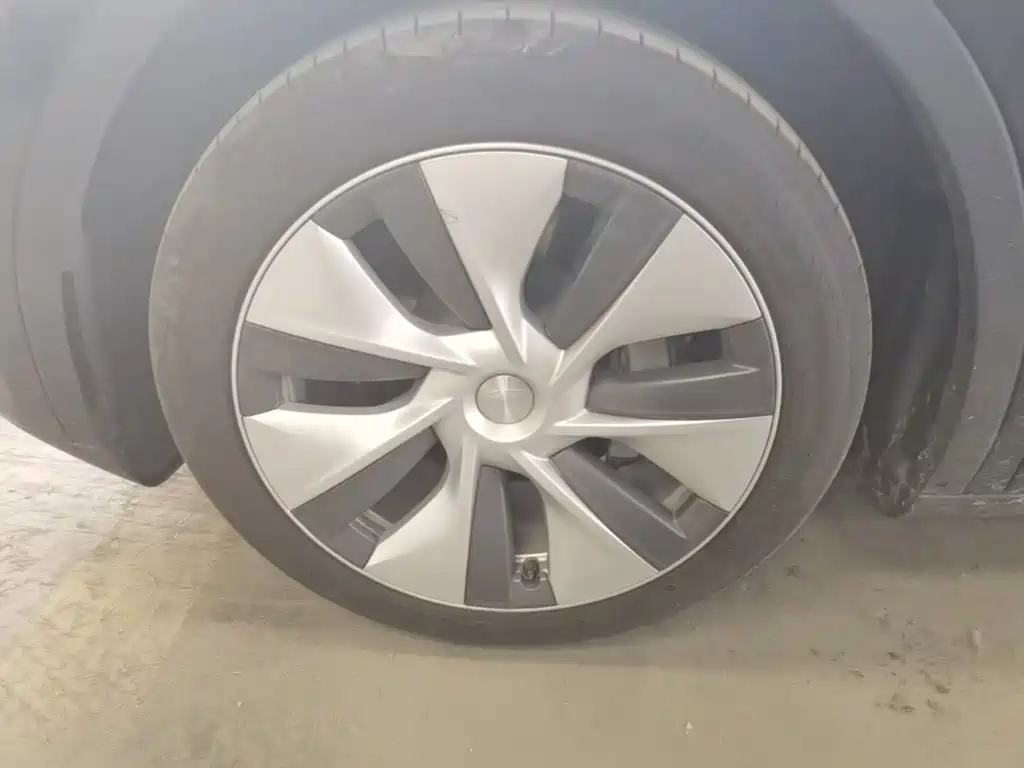 Tesla Model Y — миниатюра 23
