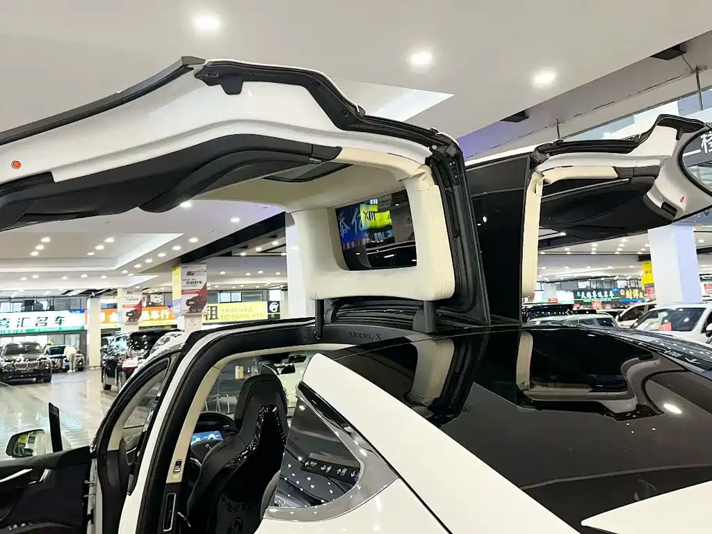 Tesla Model X — миниатюра 4