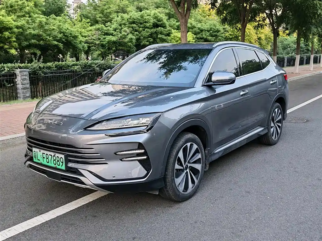 Byd PLUS New Energy 2024