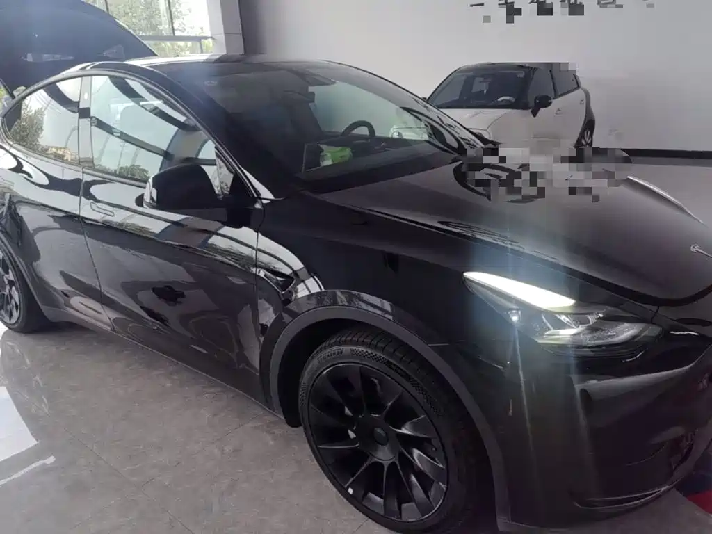 Tesla Model Y — миниатюра 4