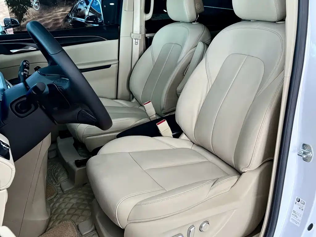 Buick GL8 — миниатюра 6