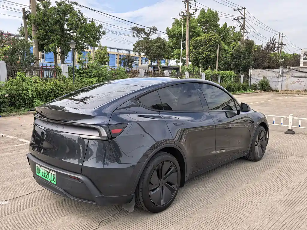 Tesla Model Y — миниатюра 4