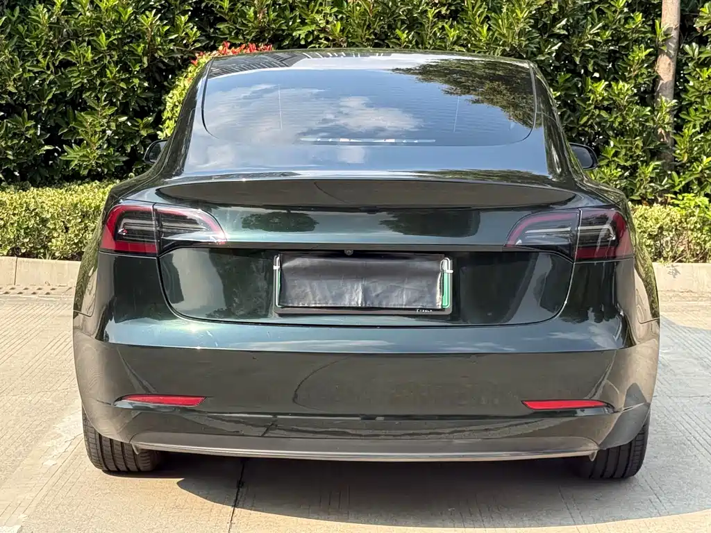 Tesla Model 3 — миниатюра 4