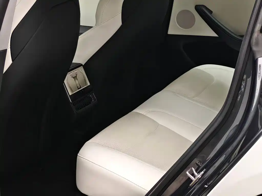 Tesla Model 3 — миниатюра 6