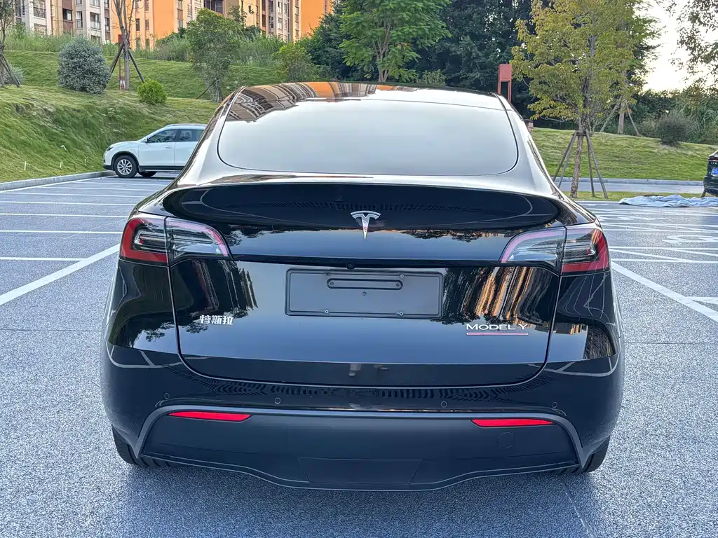 Tesla Model Y — миниатюра 9
