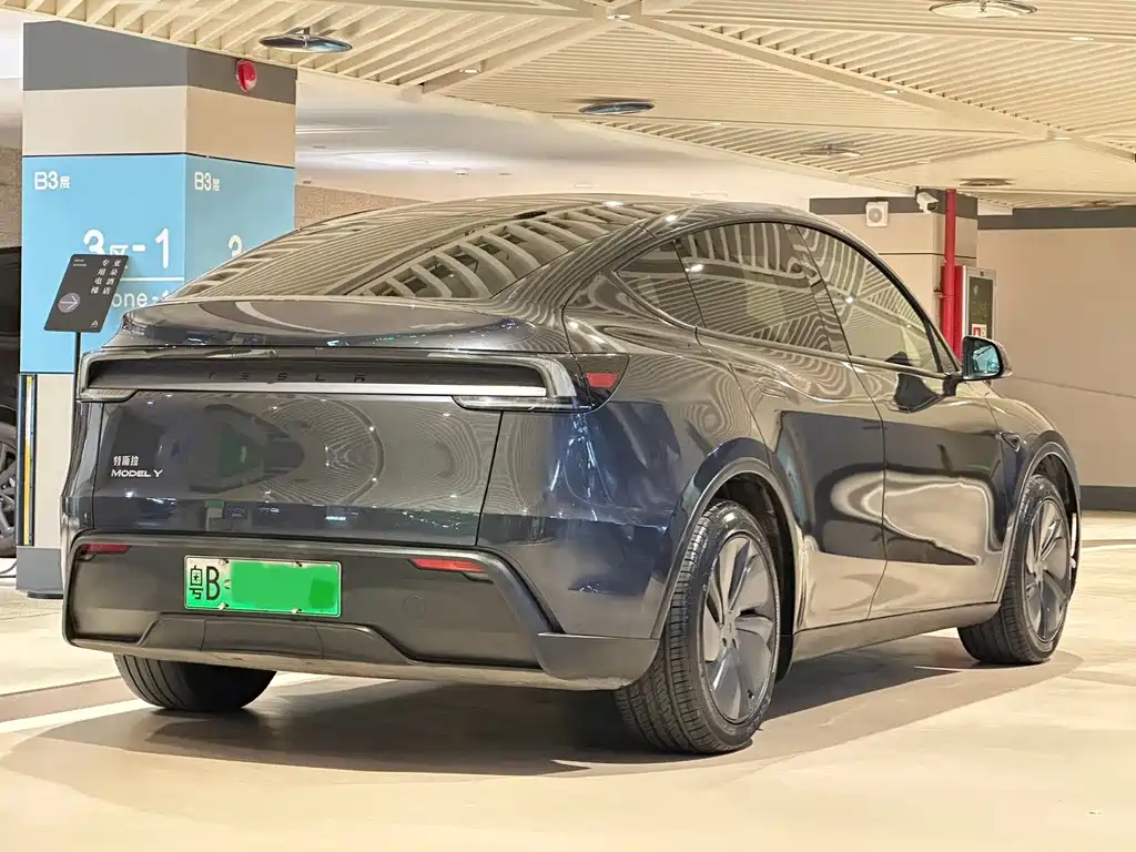 Tesla Model Y — миниатюра 7