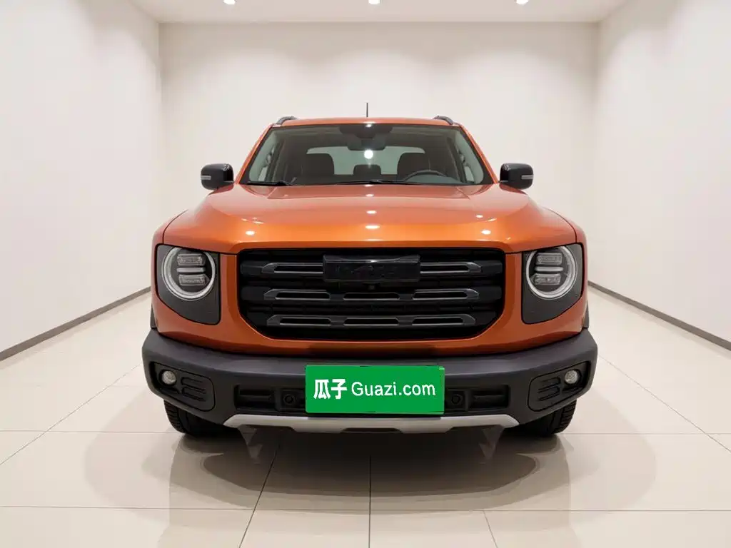 Haval Big Dog — миниатюра 2