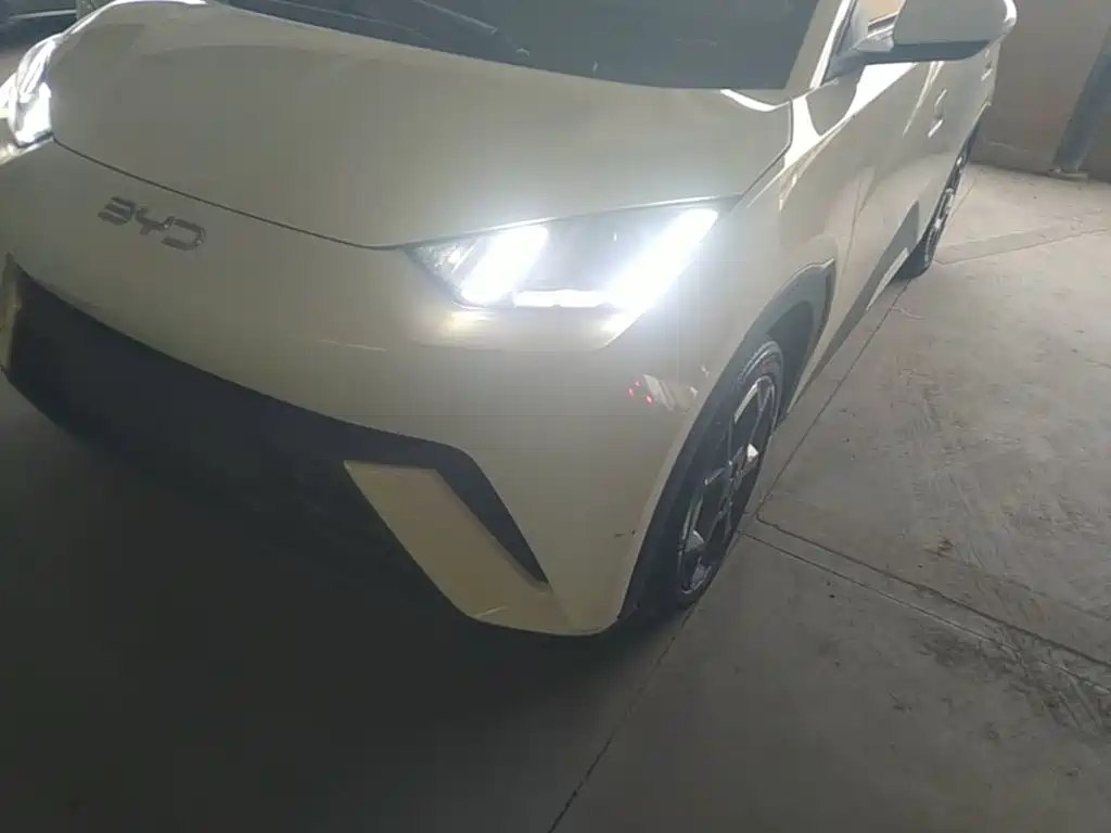 BYD Seagull — миниатюра 24