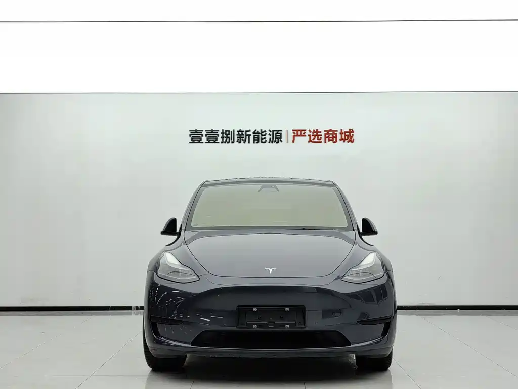 Tesla Model Y — миниатюра 2